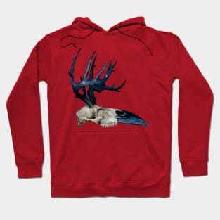 Hannibal Ravenstag Hoodie